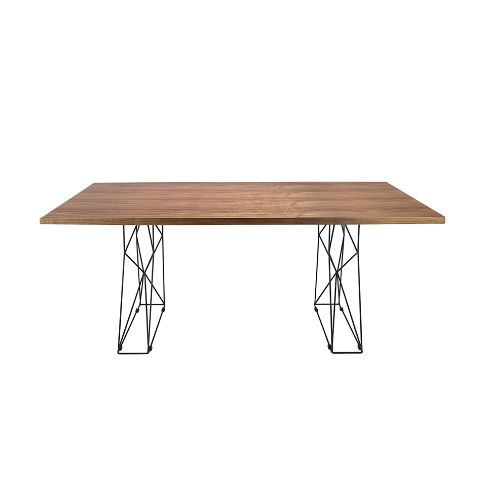 Rectangular dining table and black epoxy steel