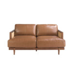 Двухместный диван из коричневой кожи
