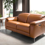 2-местный диван для отдыха из коричневой кожи