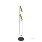 Black and gold stainless steel floor lamp