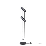 Floor lamp in black stainless steel