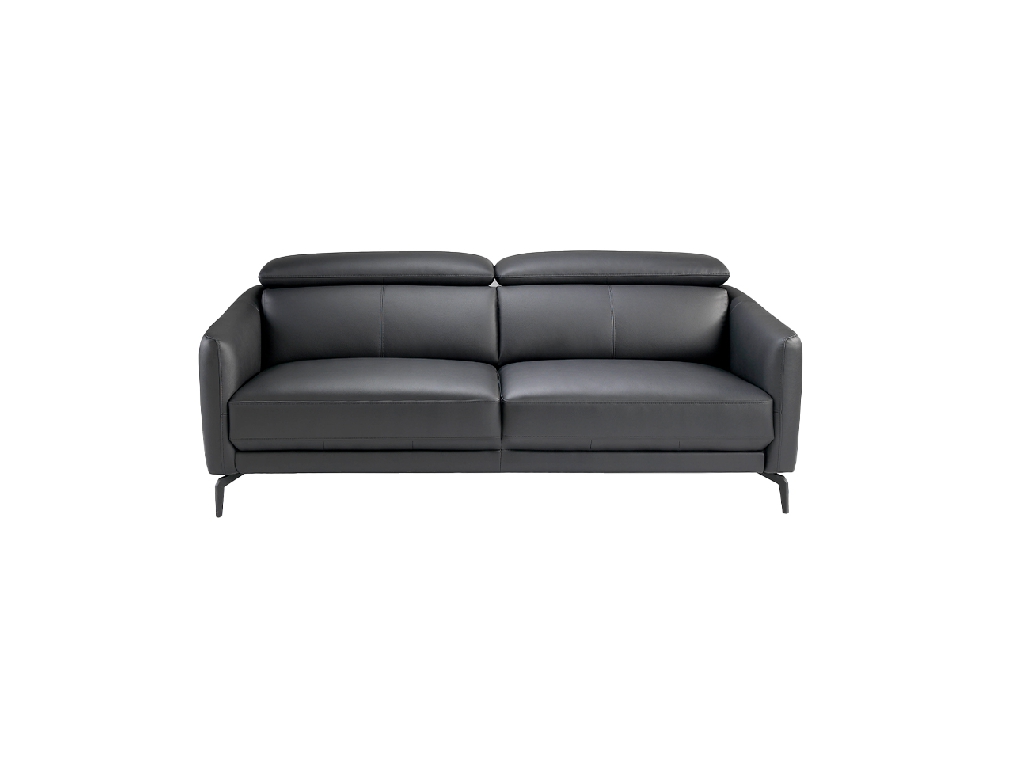 2-Sitzer-Sofa mit Lederbezug und schwarzen Stahlbeinen