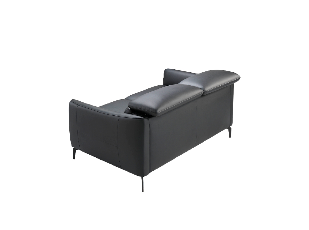 2-seater sofa upholstered in leather with black steel legs