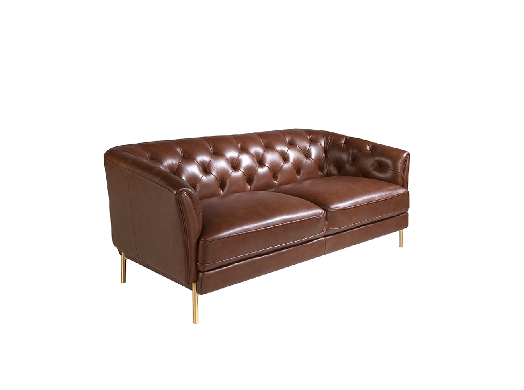 2 seater sofa upholstered in leather with golden polished steel legs