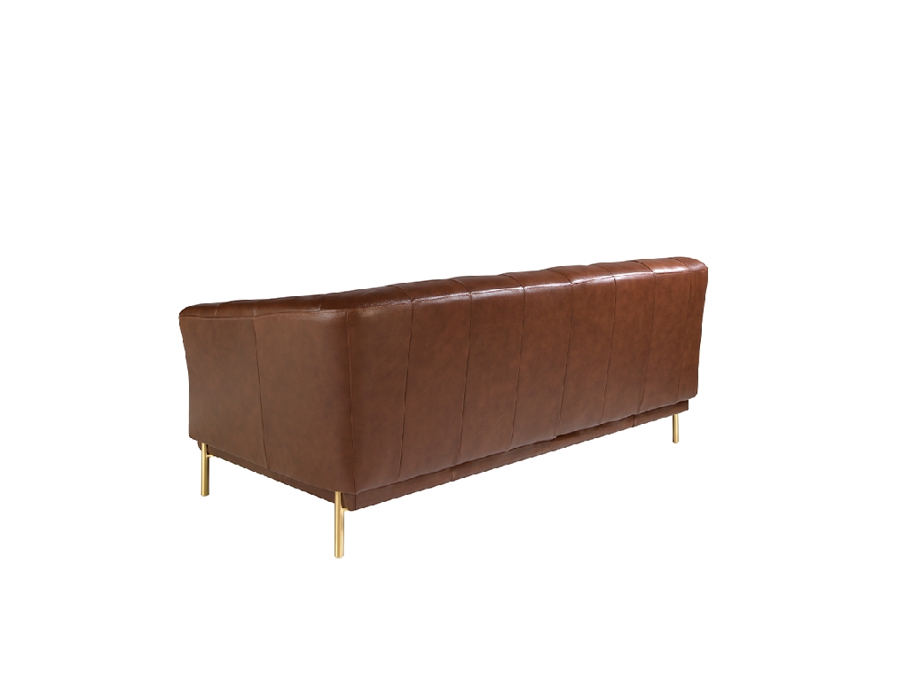 2 seater sofa upholstered in leather with golden polished steel legs