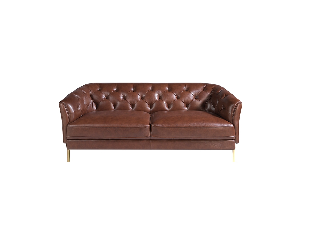 2 seater sofa upholstered in leather with golden polished steel legs