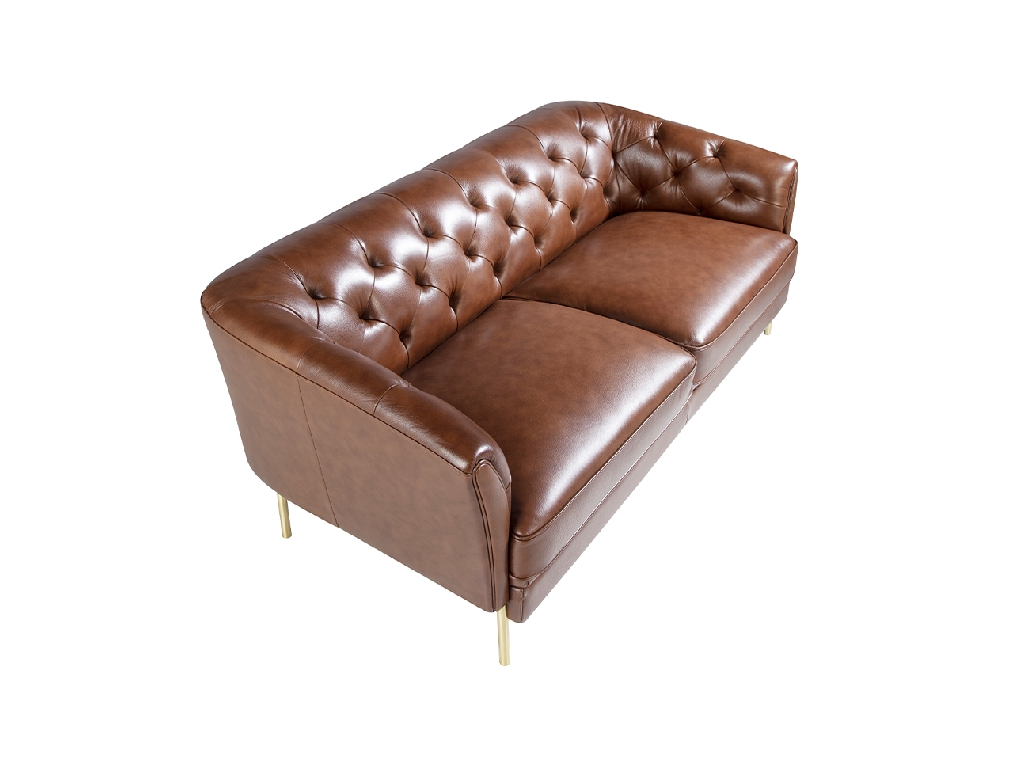 2 seater sofa upholstered in leather with golden polished steel legs