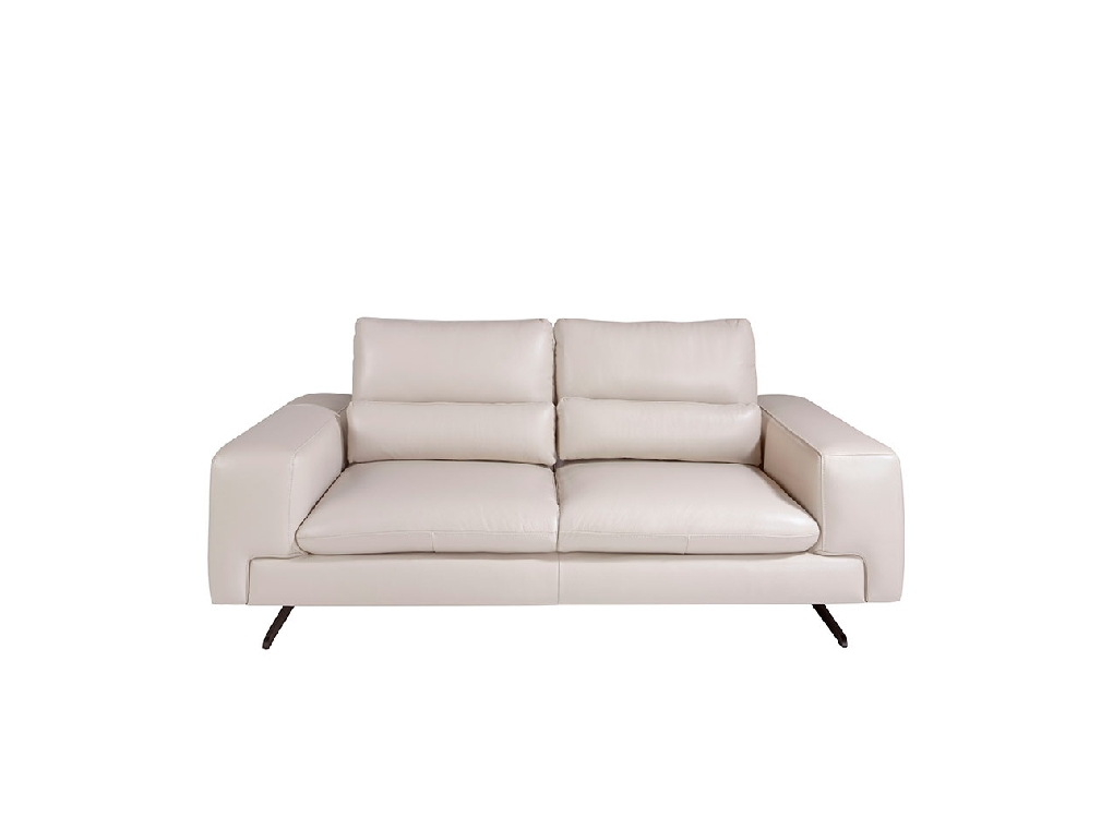 2-Sitzer-Sofa gepolstert in Leder Taupe Grau Farbe