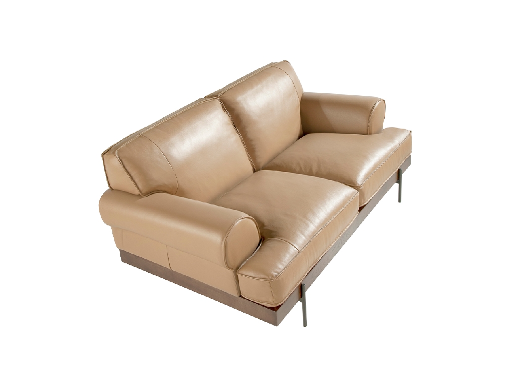 2-seater sofa upholstered in leather with black epoxy steel legs