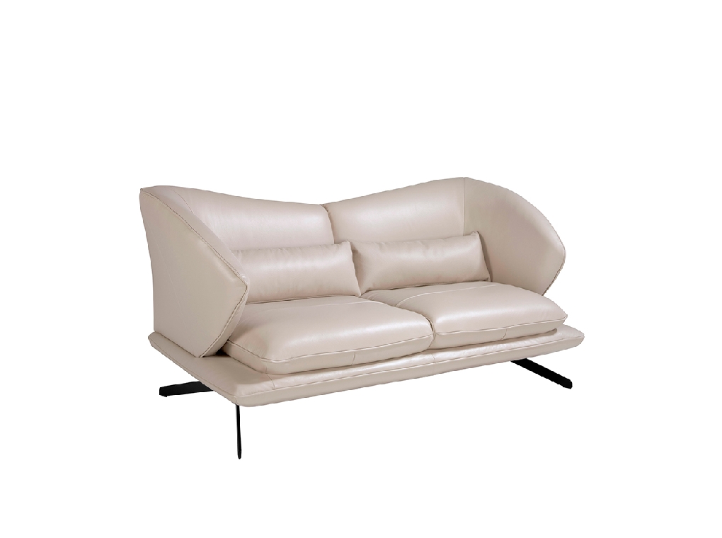 2 seater sofa upholstered in leather and decorative cushions