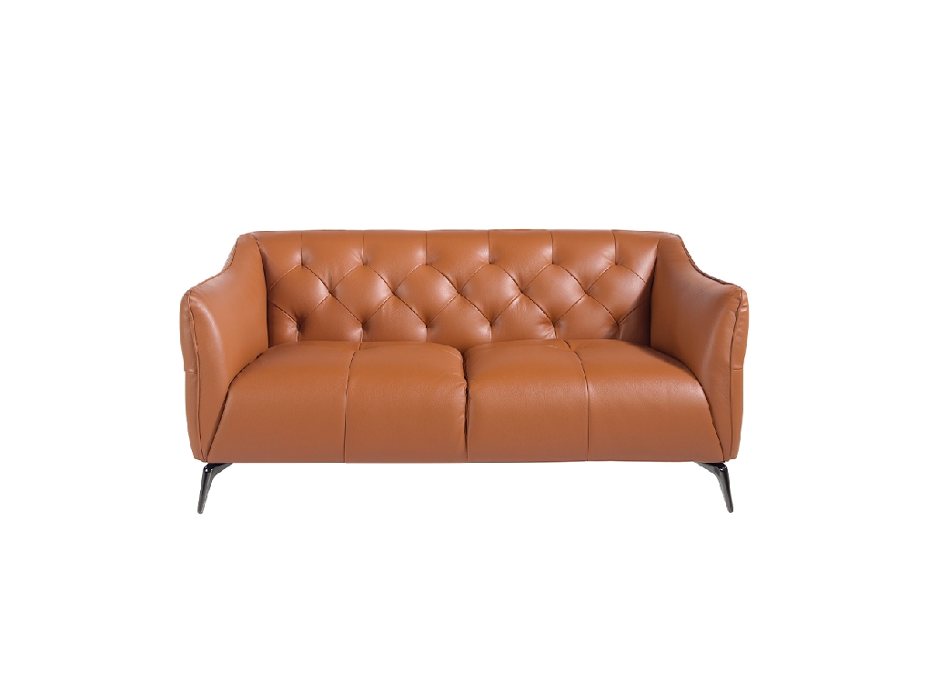 2-Sitzer Sofa mit Lederbezug
