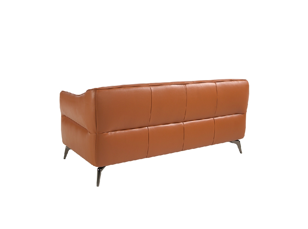 2-Sitzer Sofa mit Lederbezug