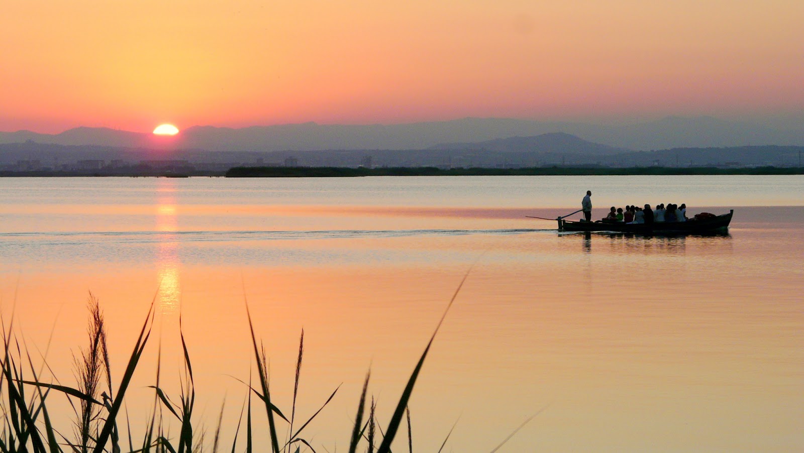 albufera valencia comunidad valenciana