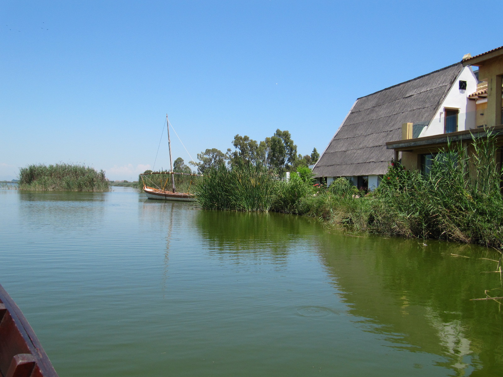 albufera valencia comunidad valenciana